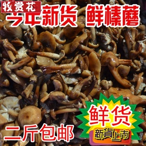 今年新货东北特产榛蘑新鲜蘑菇丁菌咸蘑菇腌制500克2斤可包邮