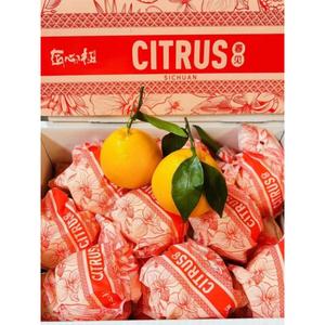 日本品种匠心级春见粑粑柑原箱8斤礼盒装爆浆新鲜水果丑八怪橘子