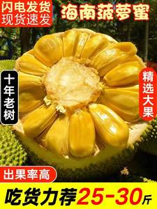 海南三亚万宁老树黄肉菠萝蜜一整个当季现摘新鲜水果整箱10-40斤