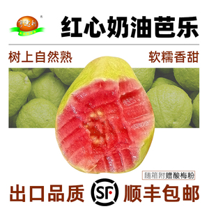 【顺丰包邮】广东正宗奶油红心芭乐新鲜包邮5斤大果A+级当季水果
