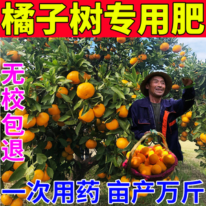 橘子树专用肥沃柑橘金桔子果树增甜剂保花保果药膨大营养液叶面肥