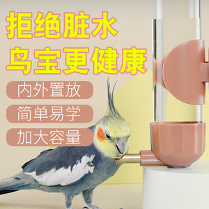 鹦鹉专用饮水器鸟用撞针自动喝水器玄凤虎皮八哥芦丁鸡喂水器水壶