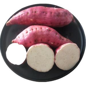 助农蔬菜番薯红皮白心红薯新鲜农家水果地瓜干山芋重庆生红苕9斤