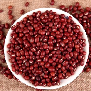 东北红小豆种子早熟无架大粒红豆种籽自种春季四季农家蔬菜种子孑