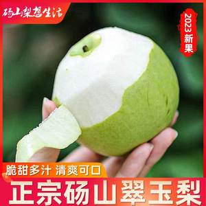 安徽砀山青皮翠玉酥梨新鲜水果当季现摘正宗汤山苹果梨子酥脆10斤