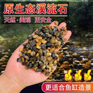 5斤天然鹅卵石原生溪流石鱼缸底沙溪流沙水族装饰造景小石子豆石