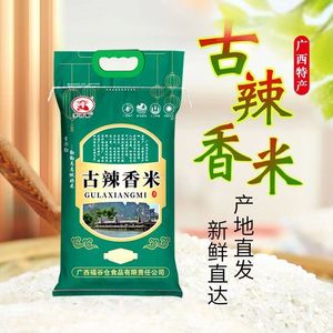 宾阳古辣香米10斤广西鱼米之乡软糯籼米长粒香米非真空包