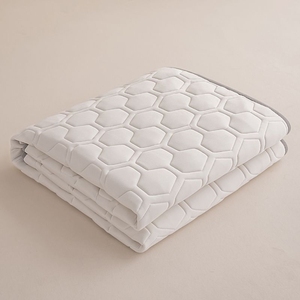 睡觉铺的小褥子2023新款床护垫可机洗家用薄床垫睡垫单人宿舍防滑