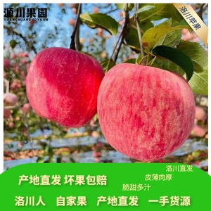 正宗洛川红富士苹果产地直发净重4.5-8.6斤洛川苹果脆甜多汁水