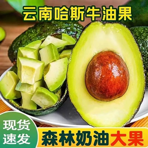 【国产高品质】云南哈斯牛油果现摘新鲜鳄梨当季水果宝宝辅食批发