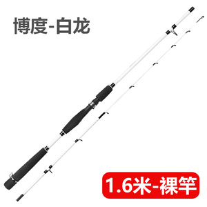 日本进口达瓦碳素路亚竿套装海杆抛竿海竿水滴轮远投翘嘴专用钓鱼