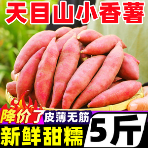 正宗临安超甜小香薯新鲜5斤板栗红薯当季小番薯农家黄心蜜薯地瓜