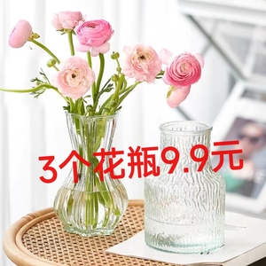 简约现代玻璃花瓶高颜值ins风小口客厅卧室桌面水养插花摆件装饰