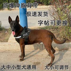 马犬牵引绳专用大型犬遛狗绳马甲可调节防勒防爆冲胸背带八股绳