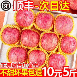 正宗山东烟台红富士苹果新鲜水果当季整箱时令10包邮冰糖心脆甜丑