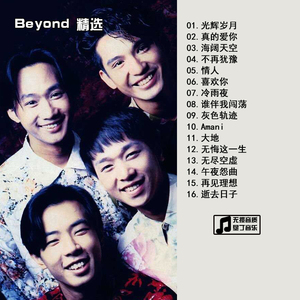 粤语经典老歌精选 Beyond  光辉岁月 汽车载音乐CD碟片 无损音质