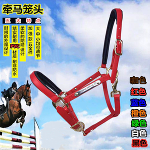马具配件包邮新款PVC牵马笼头大小矮马龙头笼套缰绳精骑马术用品