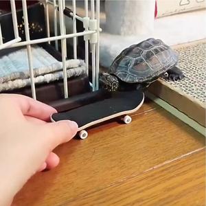 给乌龟的玩具龟龟滑板创意解压用品宠物专用平衡车跑步机东西神器