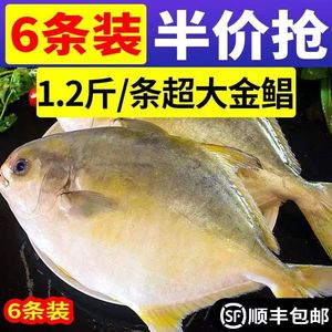 【顺丰包邮】新鲜特大号金鲳鱼冷冻一箱肉鲳鱼平鱼白鲳鱼海鲜水产