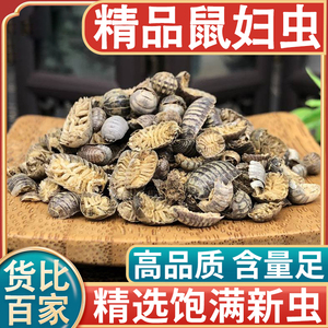 鼠妇中药500g中药材鼠妇虫别名潮虫子团子虫地虱婆地虱子西瓜虫