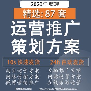 京东淘宝拼多多代运营推广方案电商店铺推广营销策划书APP网站电子版瀪馫