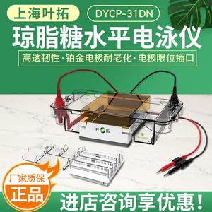 上海叶拓DYCP-31DN琼脂糖水平电泳槽DYY-6C电泳仪电源可配伯乐