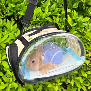 荷兰猪花龙猫狗猫专用手提兔子外带包兔兔外出便携透明外出包透气