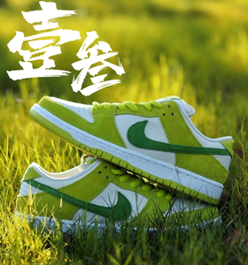 Nike SB Dunk Low Pro青苹果男女同款时尚潮流复古低帮板鞋