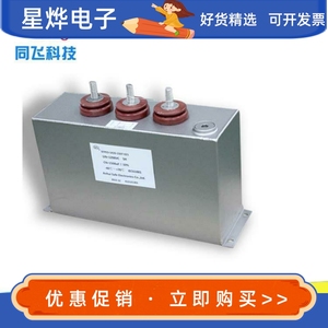 薄膜电容器 脉冲电容器激光电源 充磁机储能5000v 500uf