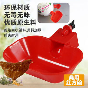 新款特大号鸡鸭鹅自动饮水碗喂水器加大加厚家禽宠物猫狗兔用水碗