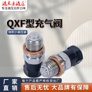 QC12Y液压剪板机NXQ蓄能器充气阀 QXF-5氮气充气工具充气嘴 阀门