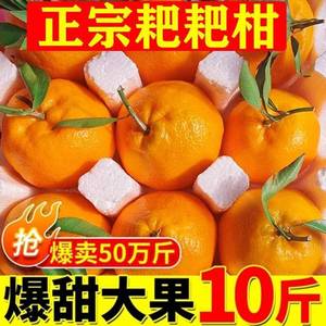 四川春见耙耙柑10斤新鲜当季时令水果手剥整箱橘子包邮丑八怪桔子