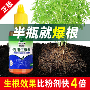 通用快速生根液植物通用扦插树木壮苗多肉生根粉复活速效移栽发根