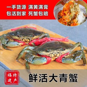 【人人乐】包活 青蟹鲜活一整箱 特大号红膏蟹肉蟹 海鲜螃蟹