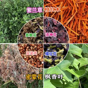 广西特产五色糯米饭花米饭纯天然植物染料红紫蓝草五彩米蓝橙紫黄