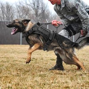 警犬套背马犬训练专用项圈牵引绳,狗狗战术胸背带背心式