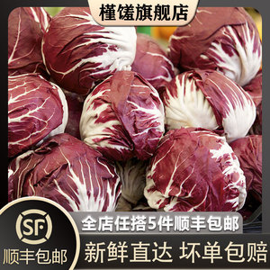 【槿馐】红菊苣500g 落地红球 新鲜蔬菜沙拉食材西餐配菜紫苣