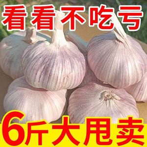 干大蒜头自种3斤5斤9斤河南杞县2024年大蒜干蒜红皮紫皮白皮蒜头