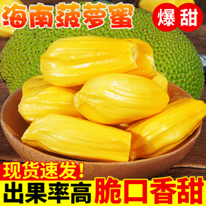 新鲜采摘树熟海南黄肉菠萝蜜孕妇营养10—35斤 吃货力荐 颗颗饱满