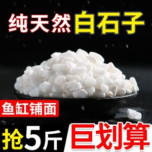 小白石子多肉铺面石头养花鹅卵石雨花石鱼缸造景盆栽庭院铺路包邮