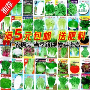 蔬菜种子四季适播种孑小葱香菜菠菜上海青家庭阳台盆栽小菜园种籽