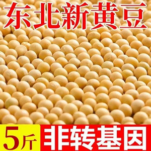 黑龙江东北2023非转基因新黄豆农家自种大豆生豆芽打豆浆专用豆子