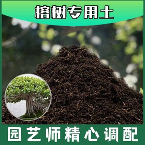 榕树专用土腐殖土种花养花盆栽土榕树营养土种植有机土壤肥料通用