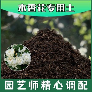 木香花专用土腐殖土种花养花盆栽土木香花营养土肥料种植有机土壤