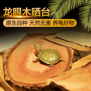 天然龙眼木乌龟晒背台高水位通用木桩沉木爬台免煮龙眼叶龟缸造景