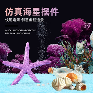 仿真海星鱼缸造景摆件生态水族箱微景观装饰可爱贝壳海洋摆设全套