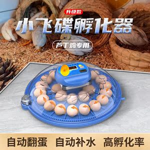威振小飞碟孵化器小型家用迷你孵化机智能全自动鸟蛋芦丁鸡孵蛋箱