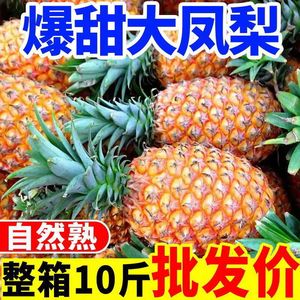 海南金钻凤梨新鲜水果应季10斤芒果凤梨手撕香水菠萝特产大果无眼