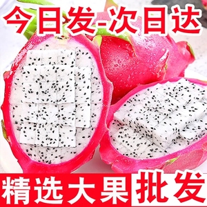 【批发价】白心火龙果10斤新鲜水果应季超甜进口热带水果新鲜白肉