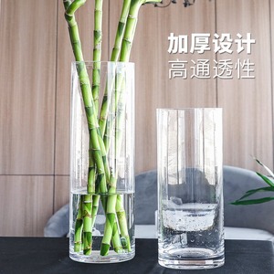花瓶摆件客厅插花玻璃透明简约水养水培富贵竹鲜花高级感醒花桶大